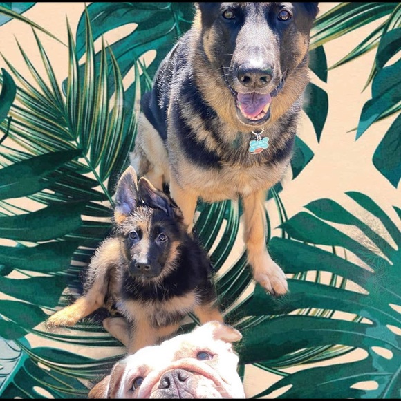 Meet your seller - Picture 8 of 11